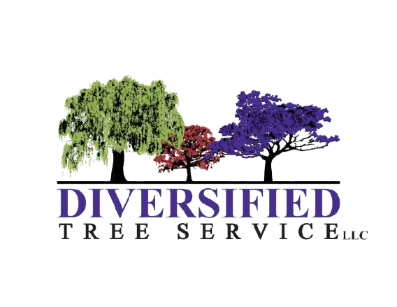Diversified Tree Service LLC logo
